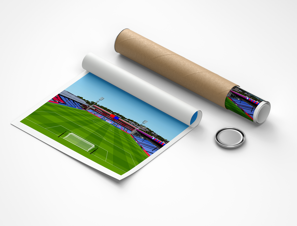 View From The Holmesdale Road Stand Print - Crystal Palace - Selhurst Park