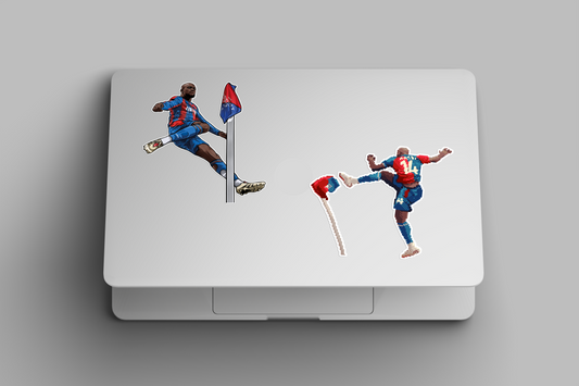 Mateta Stickers x 2 Styles