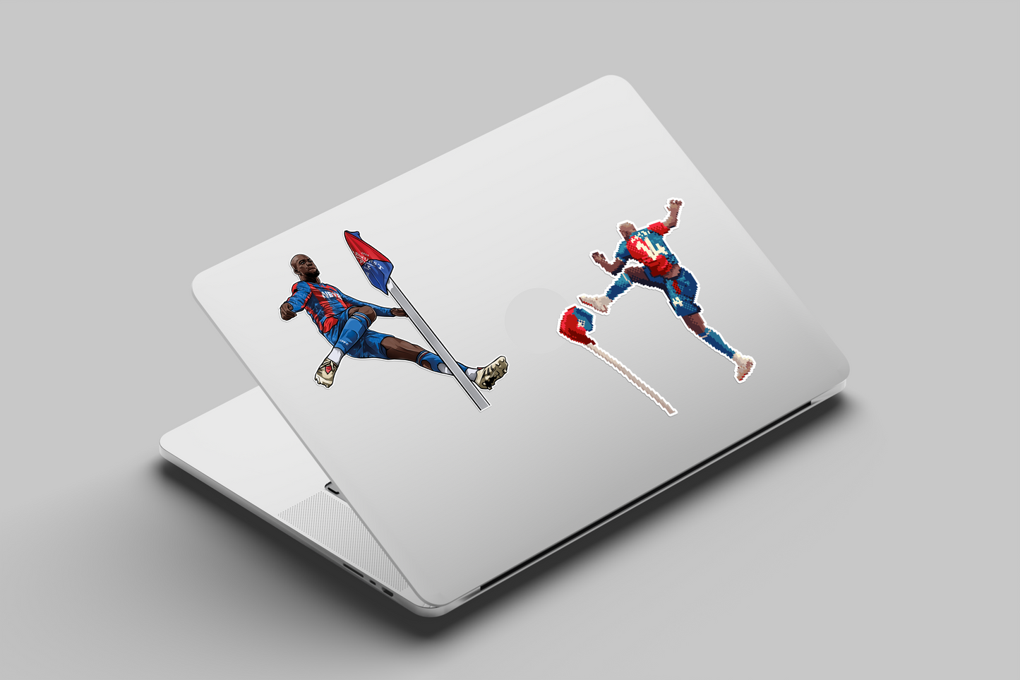 Mateta Stickers x 2 Styles