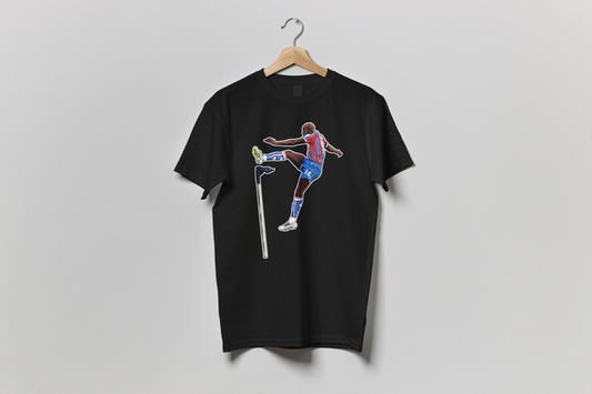 Mateta T-Shirt