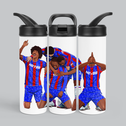 Palace FA Cup Winners 20oz Stainless Steel Sports Tumbler/Water Bottle