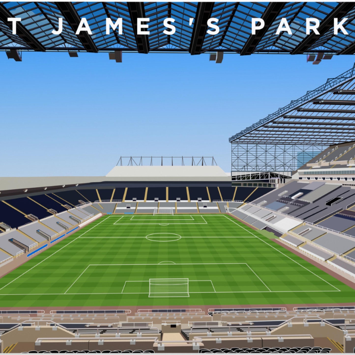 St James’s Park Stadium Print