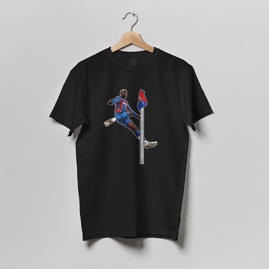 Mateta T-Shirt